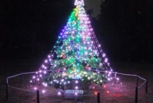 国立昭和記念公園クリスマスイルミネーション